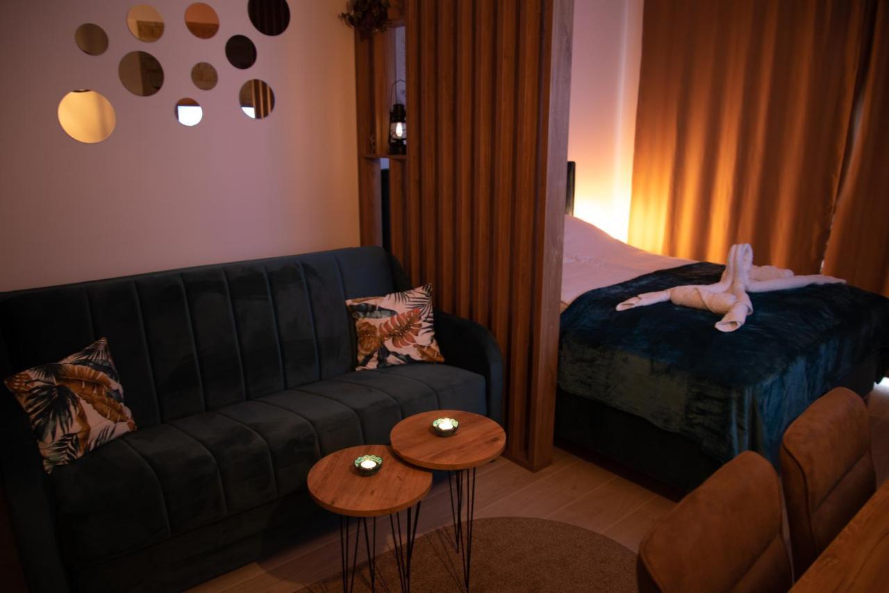 Apartman Larisa Kopaonik Extérieur photo